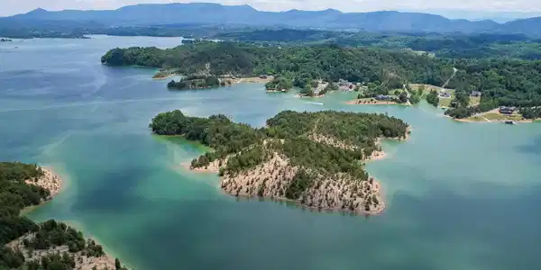 0 0 Douglas Lake Is