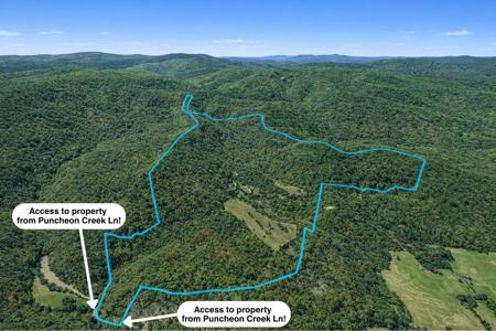 0 Puncheon Creek Lane
