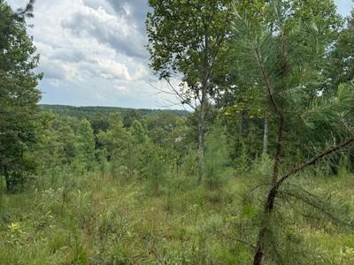 0 South Pittsburg Mountain Road
