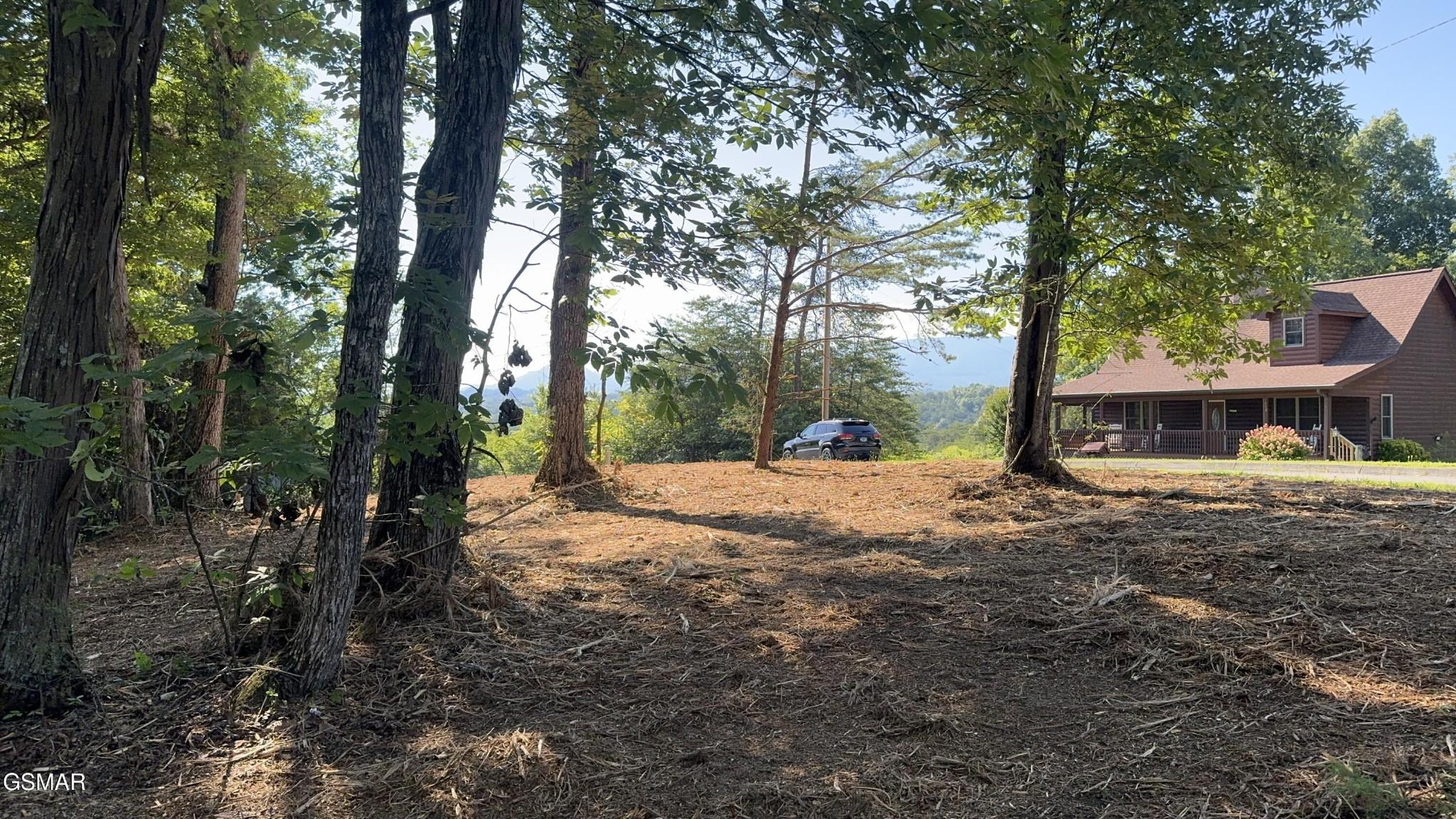 Image 4 Image 4