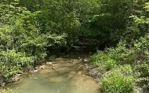 Image 3 Image 3