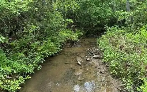 Image 4 Image 4