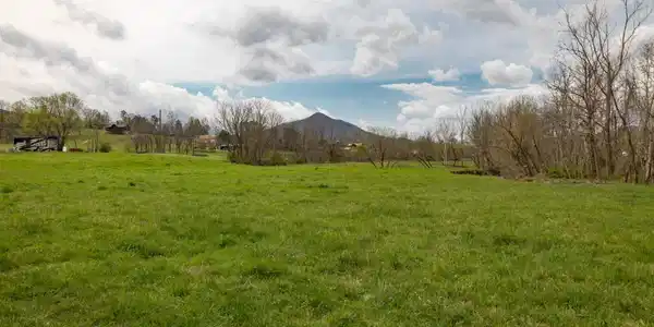 Image 2 Image 2