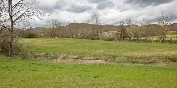 Image 4 Image 4