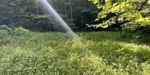0 Jackson Ridge Rd
