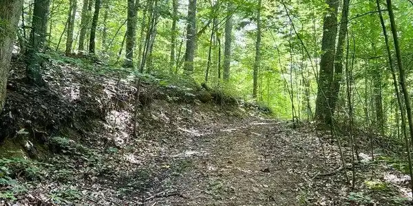 Image 2 Image 2