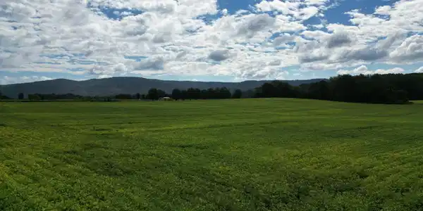0 Holders Cove Rd