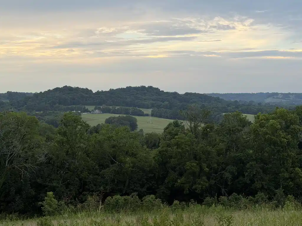 Image 1 Image 1