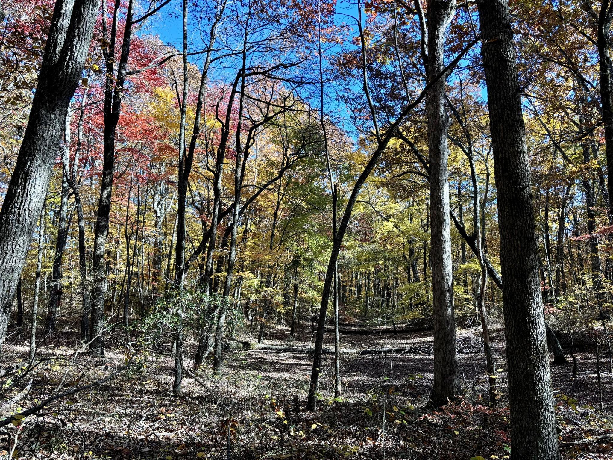 Image 3 Image 3
