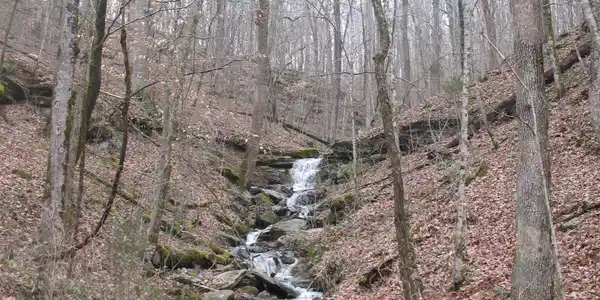 Image 3 Image 3