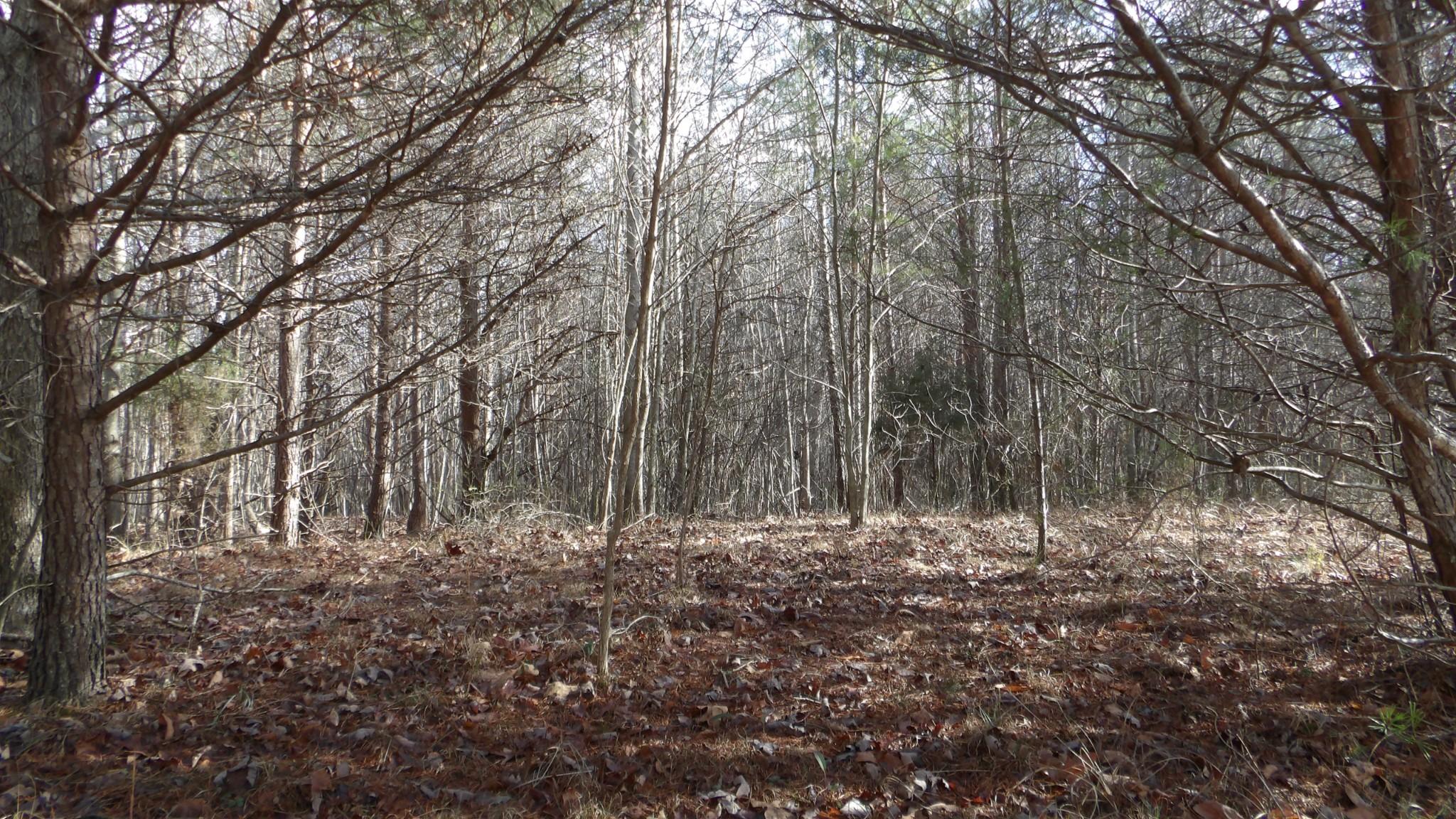 Image 4 Image 4
