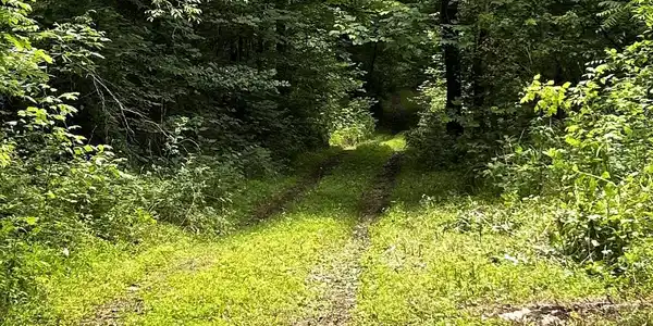 Image 4 Image 4