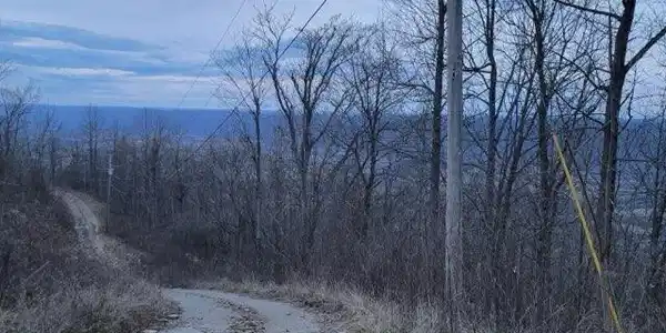Image 2 Image 2