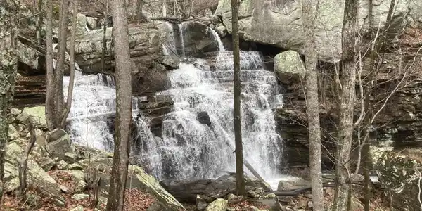 0 Old Spencer Road - 100 Acres