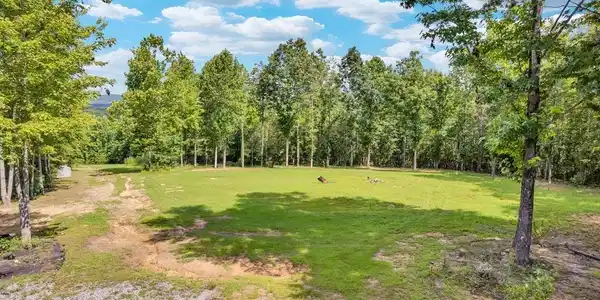 1280 Soak Creek Ln