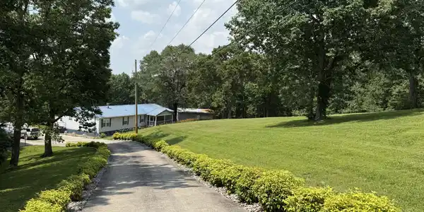 Image 4 Image 4