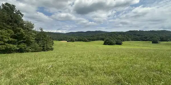 Image 3 Image 3
