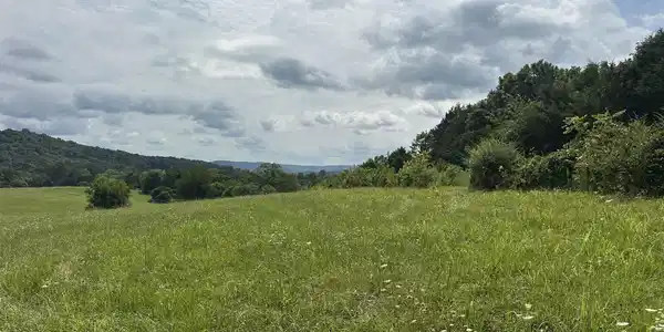 Image 4 Image 4