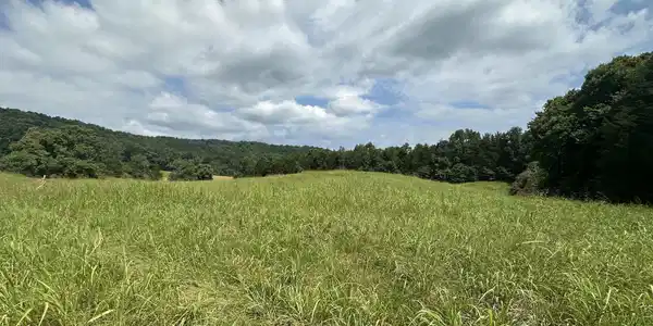 Image 2 Image 2