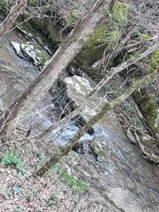 441 Pumpkin Hollow Rd