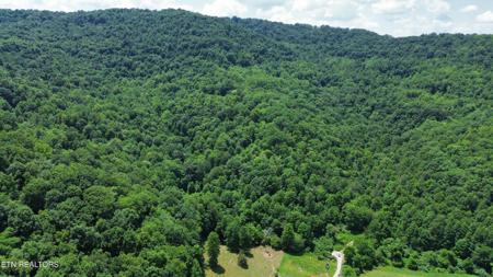 0 Lick Creek Lane