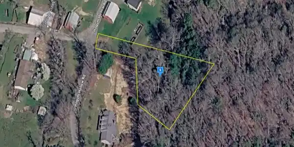 231 Hogum Hollow Rd