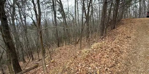 101 Green Forest Rd