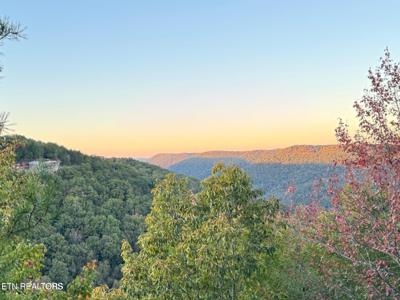 0 Panther Falls Rd