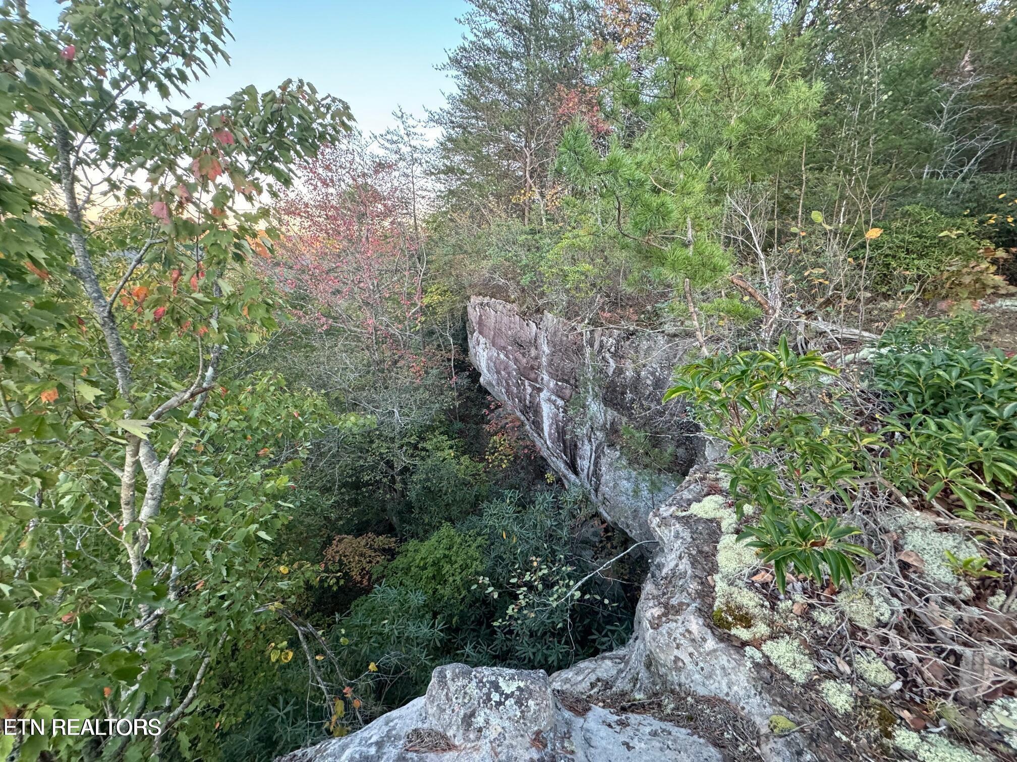 Image 4 Image 4
