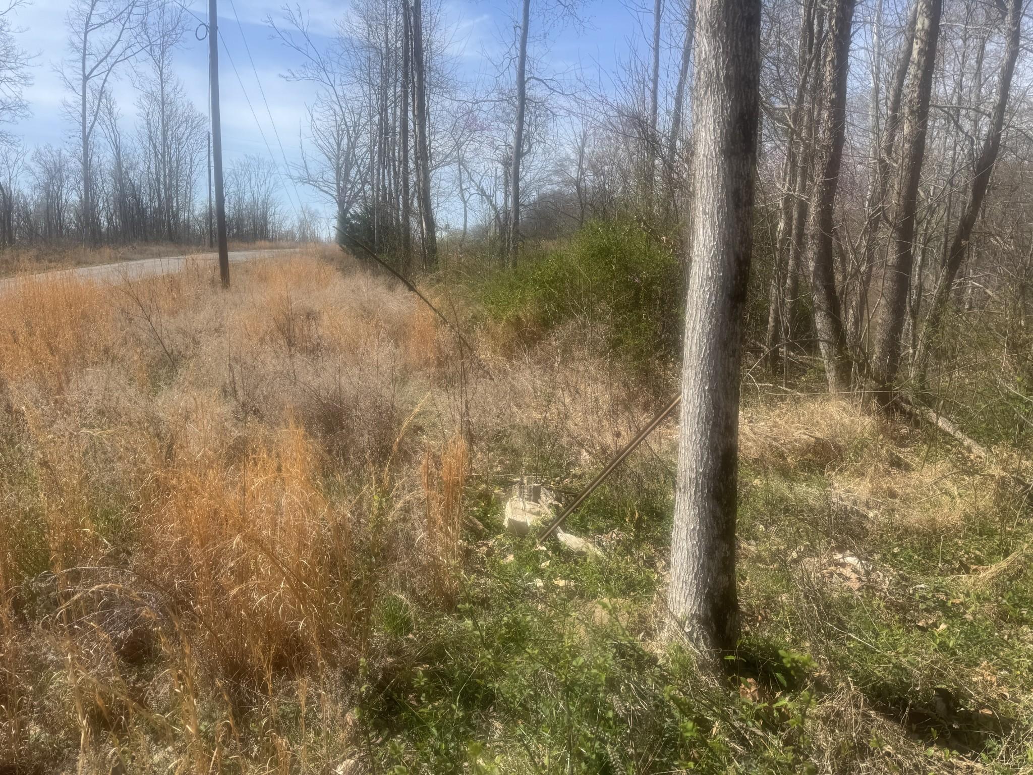 Image 2 Image 2