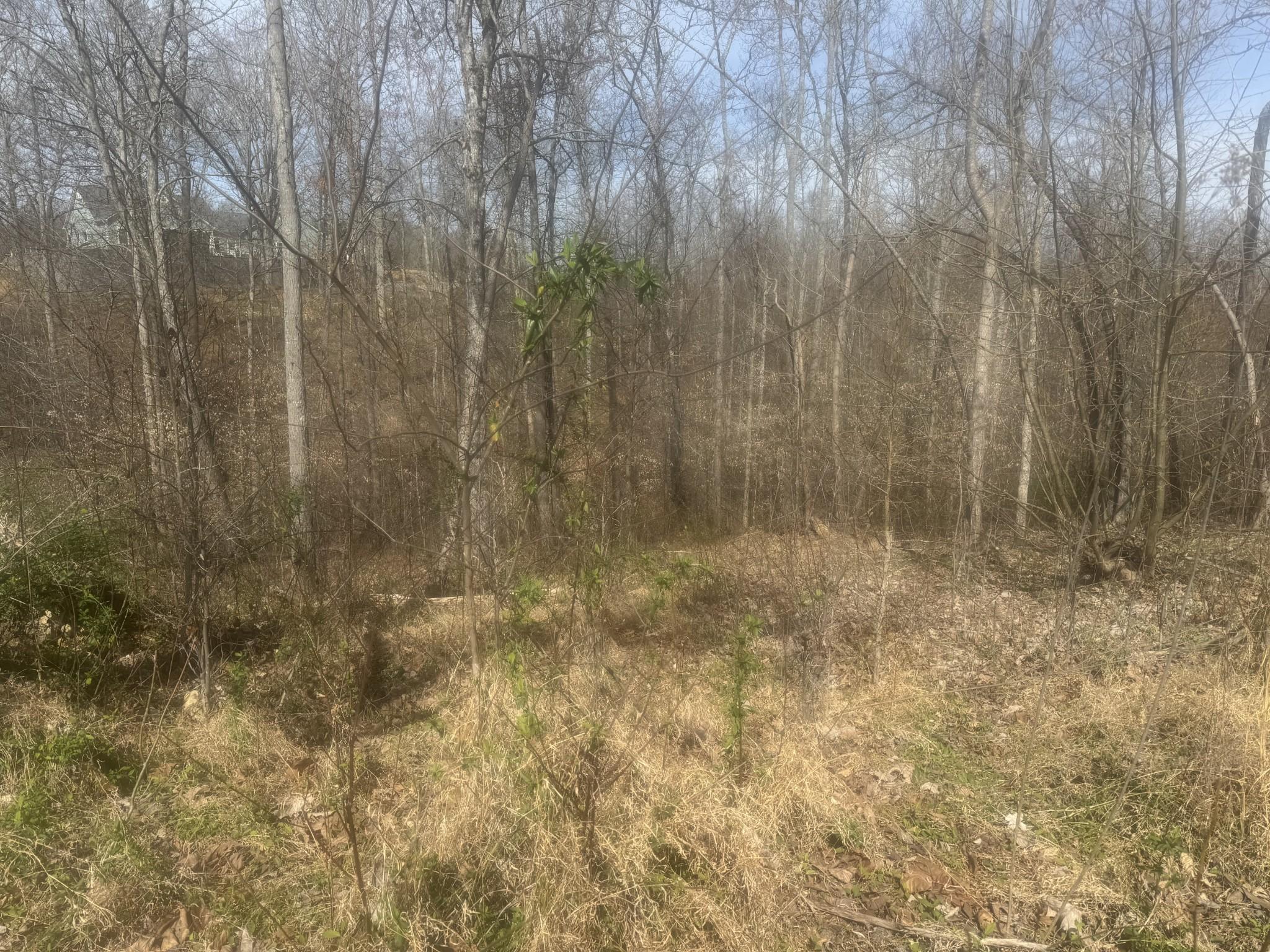 Image 3 Image 3
