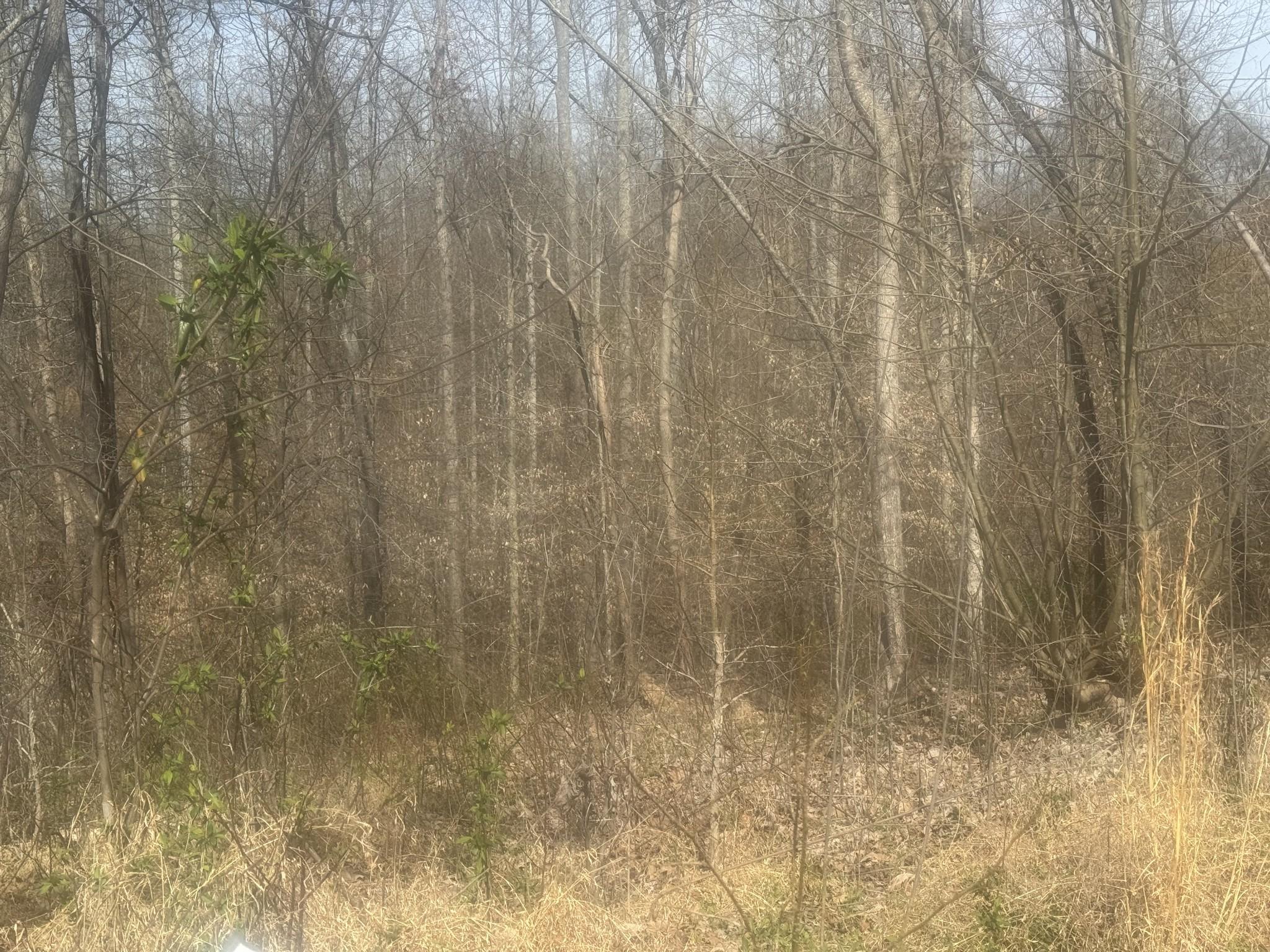 Image 4 Image 4