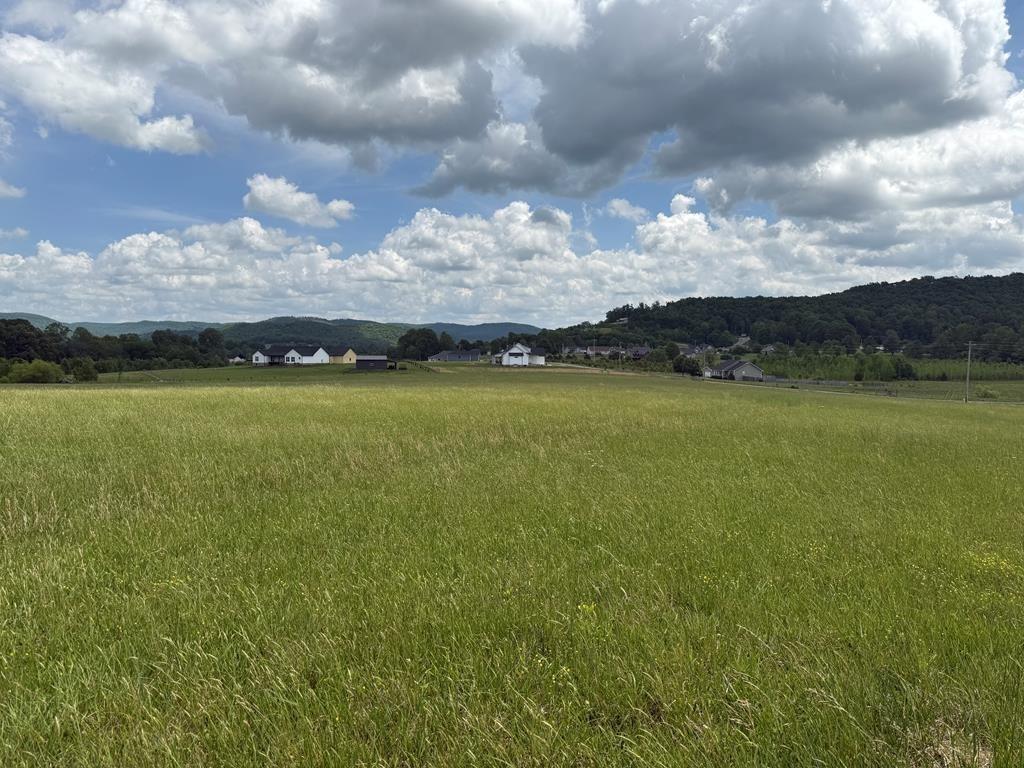 Image 1 Image 1