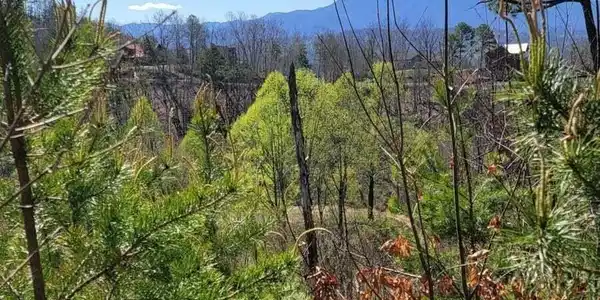 0 Walker Trail Tr