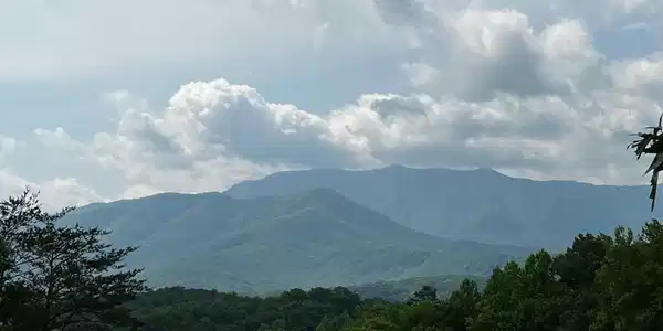 2 Vista Drive
