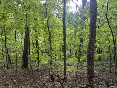 0 Petty Gap Rd