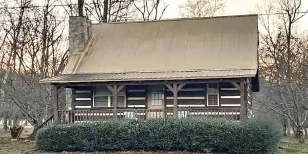Image 4