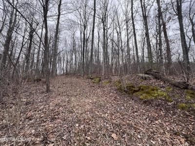 0 Lot 62 Apache Rd