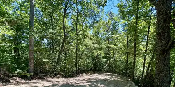 Image 3 Image 3