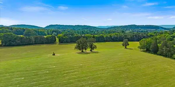 21 County Road 675