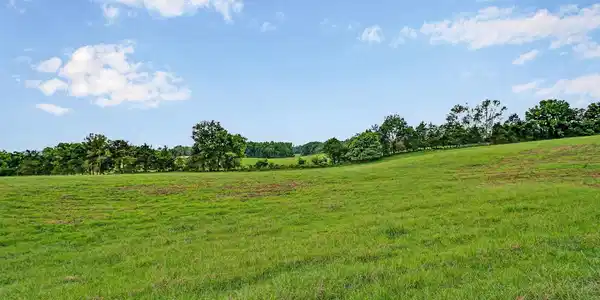 Image 4 Image 4