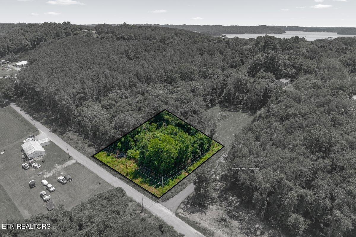 Image 1 Image 1