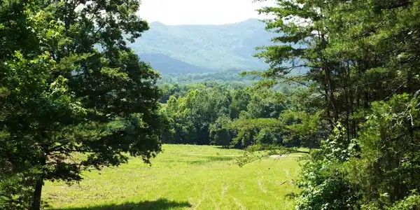 0 Rhyne Camp Road