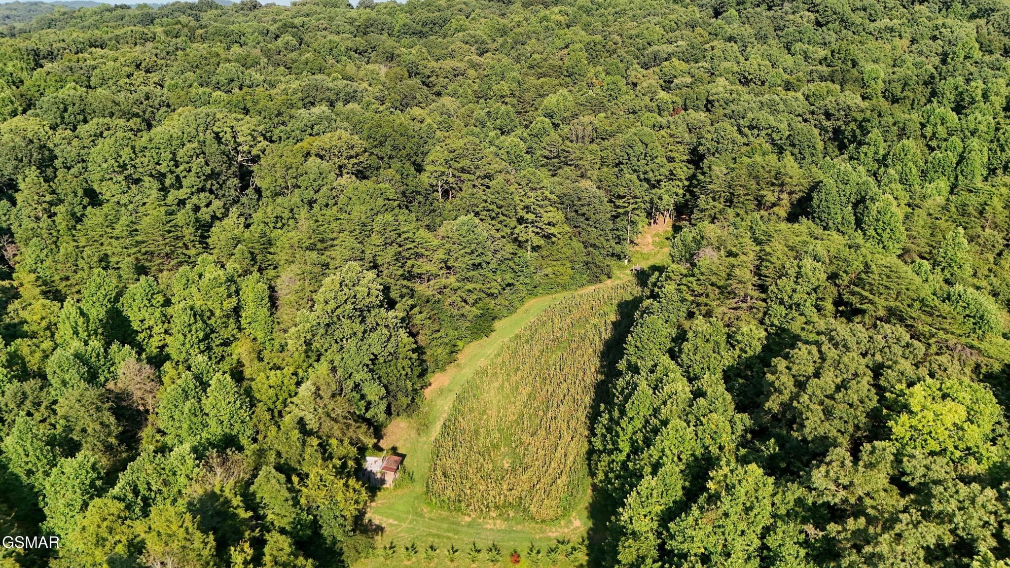 Image 4 Image 4
