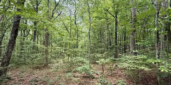 Image 3 Image 3