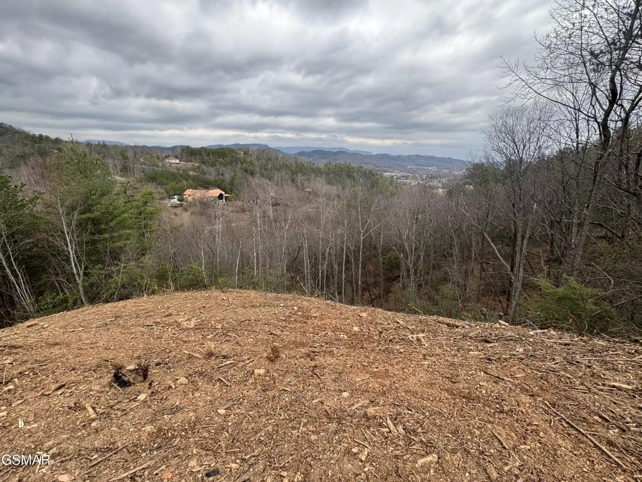 Image 1 Image 1