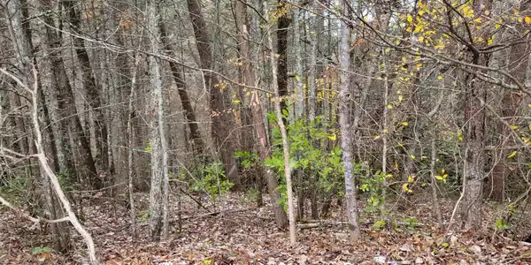 Image 3 Image 3