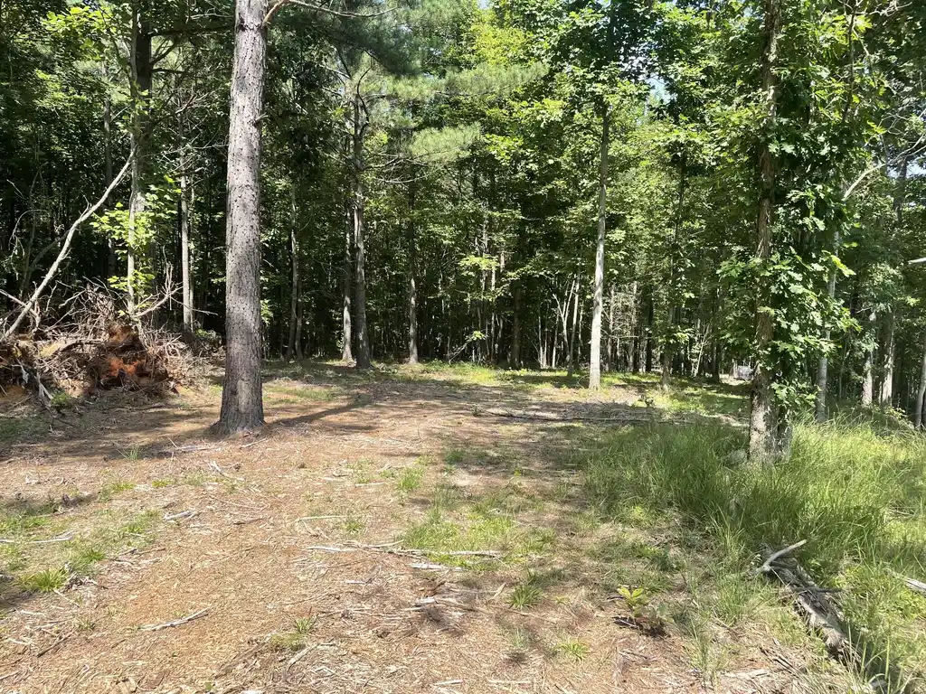Image 1 Image 1