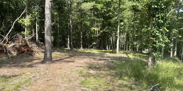 0 Tall Woods Ln