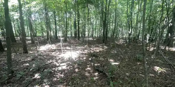Image 4 Image 4